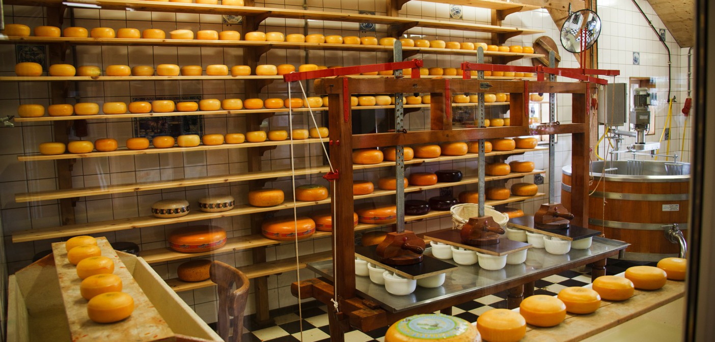 The Importance Of Food Processing In Food Security Kolabtree Blog