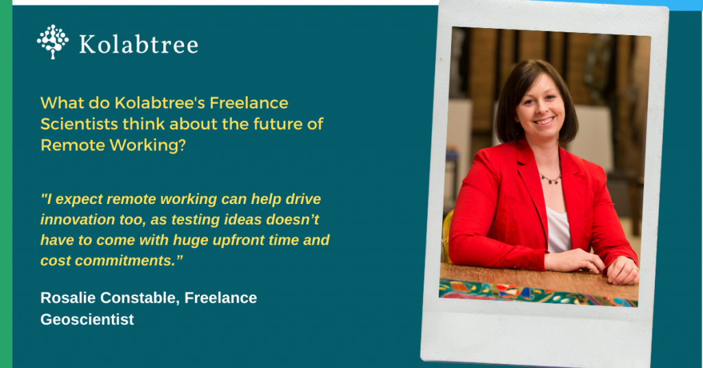 Freelance scientists on remote working