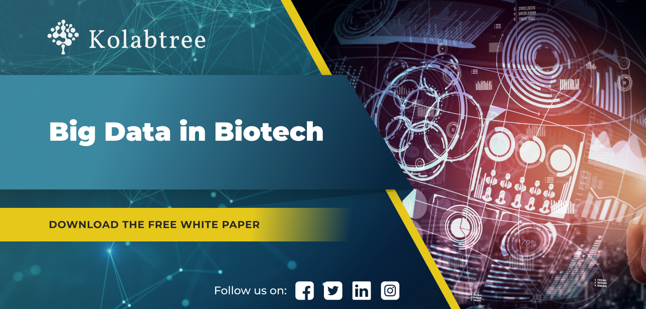 Big Data in Biotech Free Kolabtree Whitepaper