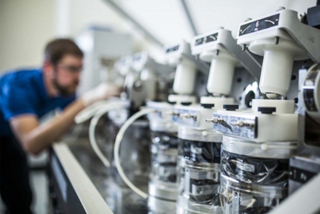 From Idea to Shelf: Leveraging Expert Chemistry Partnerships for Supplement Development: A Strategic Guide for Startups